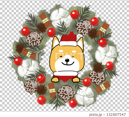 豪華なクリスマスリースと穴から覗くしばいぬサンタ 132807547