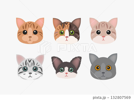 猫 ねこ ネコ 132807569