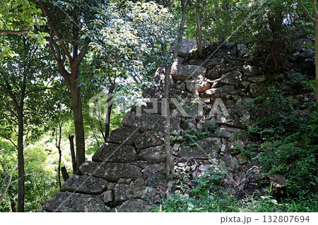 滋賀 近江八幡 八幡山城 本丸の石垣(夏) 滋賀 近江八幡 八幡山城 本丸の石垣(夏) 132807694