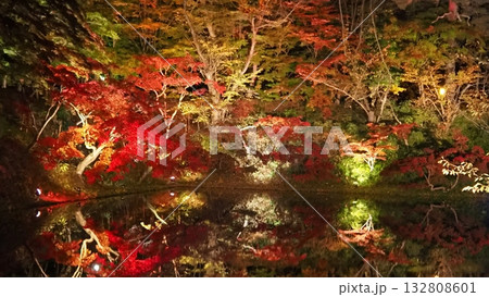 弘前城菊と紅葉まつり～青森県弘前市～ 132808601