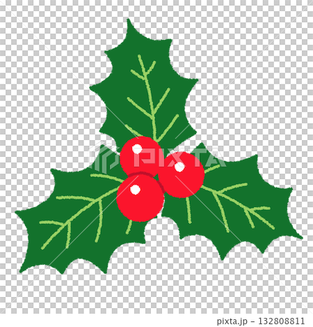 Christmas holly illustration 132808811