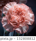 カーネーション 132808812