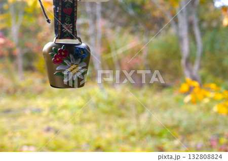 朝夕の犬の散歩にもクマよけ対策 朝夕の犬の散歩にもクマよけ対策 132808824