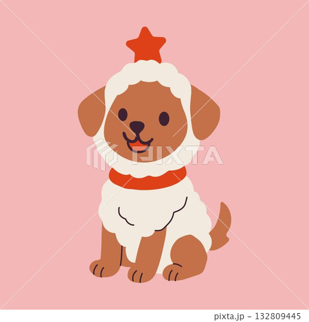 Adorable dog wearing a fluffy Christmas costume with a star on top and red collar Adorable dog wearing a fluffy Christmas costume with a star on top and red collar 132809445