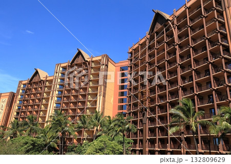 ハワイの休日　アウラニのリゾートホテル 132809629