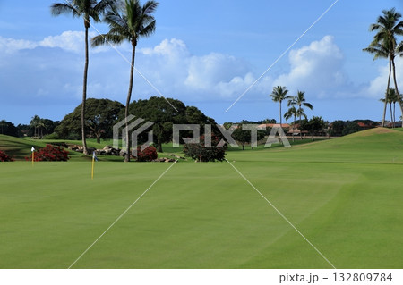 ハワイ（オアフ島）の休日（ゴルフライフ）カポレイゴルフクラブ 132809784