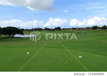 ハワイ（オアフ島）の休日（ゴルフライフ）カポレイNO1 132809863