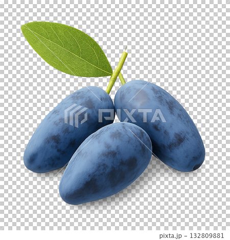 ハスカップのリアルタッチな背景透過された切り抜きイラスト 132809881