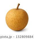 竜眼のリアルタッチな背景透過された切り抜きイラスト 132809884