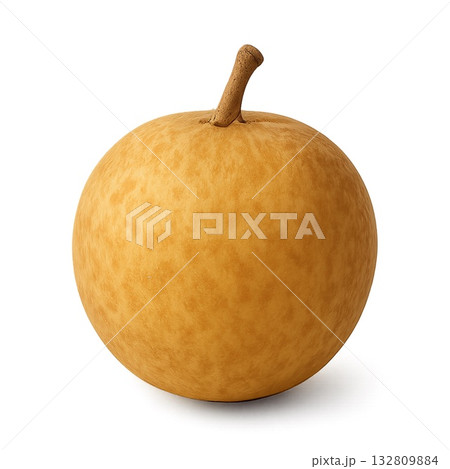 竜眼のリアルタッチな背景透過された切り抜きイラスト 132809884