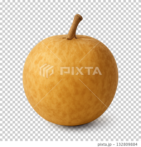 一幅逼真的龍眼剪紙插圖，背景透明。 132809884