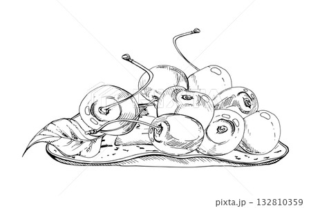 Sour sweet line cherry berries on ceramic plate, hand drawn vector ink, ripe cerise with leaves, stems. Isolated composition illustration. For restaurant, cafe dessert menu, wedding, farmers market 132810359