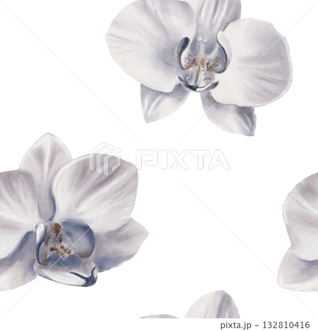 White orchid in a simple seamless pattern,symbolizing tropical vacation,innocence,tenderness, youth. Hand drawn watercolor illustration for backgroud,textile,wrapping papper White orchid in a simple seamless pattern,symbolizing tropical vacation,innocence,tenderness, youth. Hand drawn watercolor illustration for backgroud,textile,wrapping papper 132810416