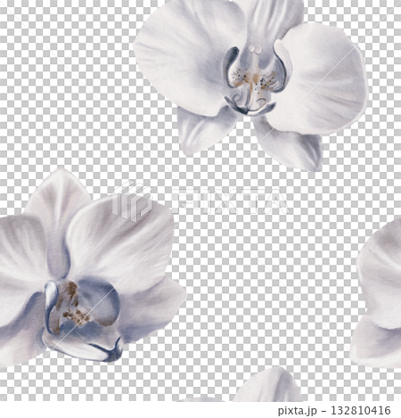 White orchid in a simple seamless pattern,symbolizing tropical vacation,innocence,tenderness, youth. Hand drawn watercolor illustration for backgroud,textile,wrapping papper White orchid in a simple seamless pattern,symbolizing tropical vacation,innocence,tenderness, youth. Hand drawn watercolor illustration for backgroud,textile,wrapping papper 132810416