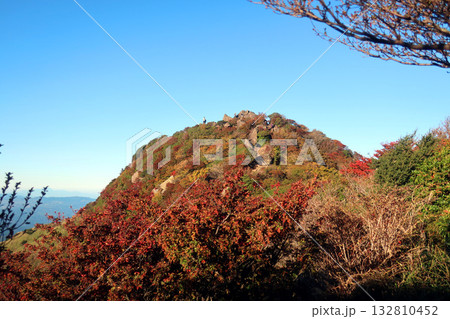 くじゅう連山の沓掛山の紅葉 132810452
