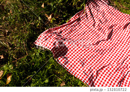 Red and white checkered picnic blanket on green grass in sunlight 132810722