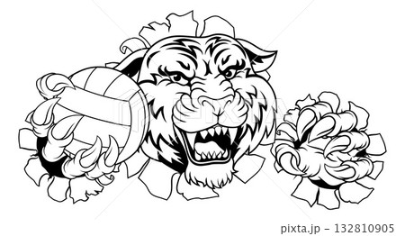 Tiger Volleyball Volley Ball Animal Sports Mascot 132810905