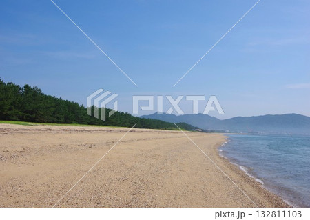 兵庫県南あわじ市 慶野松原海水浴場 兵庫県南あわじ市 慶野松原海水浴場 132811103
