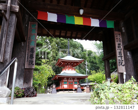 世界遺産の慈尊院の山門から見える多宝塔 世界遺産の慈尊院の山門から見える多宝塔 132811147