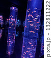 金魚 132811222