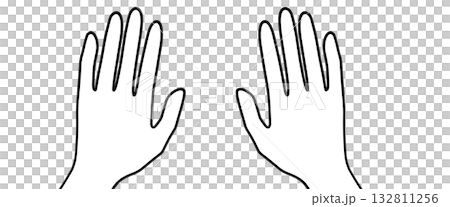 シンプルな手のアイコン、手の甲左右セット シンプルな手のアイコン、手の甲左右セット 132811256