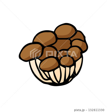 しめじイラスト手描きのかんたんシンプルな食品_輪郭あり しめじイラスト手描きのかんたんシンプルな食品_輪郭あり 132811330