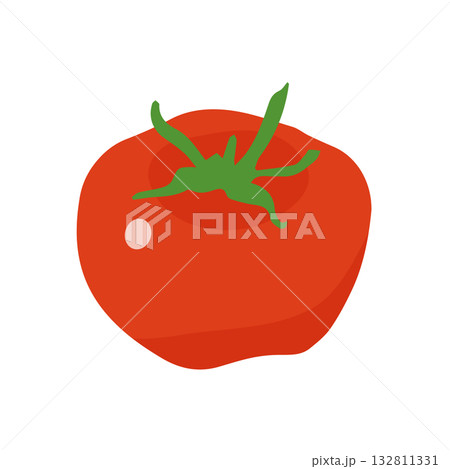 トマトイラスト手描きのかんたんシンプルな食品_輪郭なし 132811331
