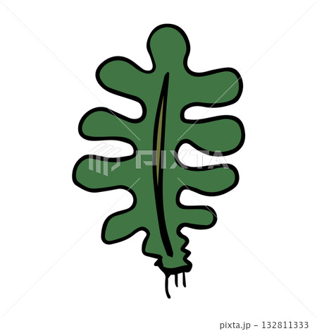 わかめイラスト手描きのかんたんシンプルな食品_輪郭あり 132811333