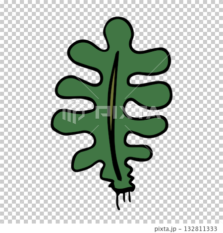 裙帶菜海藻插圖，手繪，簡單的食物輪廓 132811333