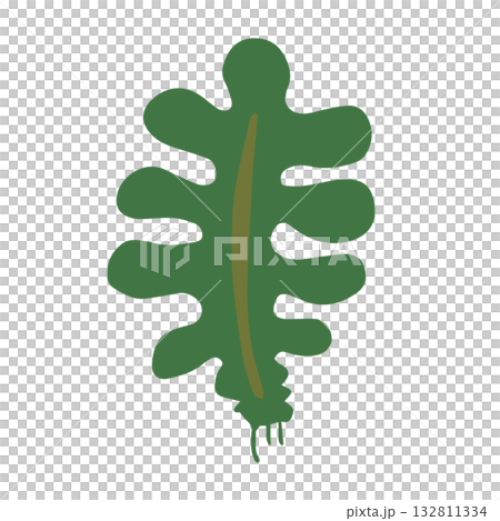Wakame illustration hand-drawn simple food_no outline 132811334