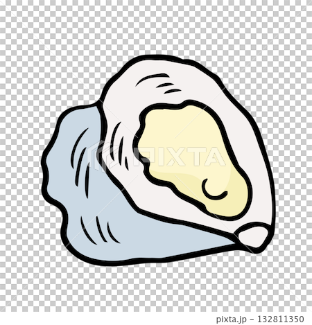 Oyster illustration hand-drawn simple food with outline 132811350