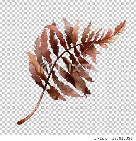 Fern Branch. Dark red brown autumn plant. Watercolor hand drawn floral illustration isolated on white background for fall wedding design home textile print card cosmetic package porcelain crockery Fern Branch. Dark red brown autumn plant. Watercolor hand drawn floral illustration isolated on white background for fall wedding design home textile print card cosmetic package porcelain crockery 132811353