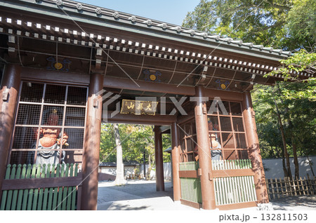 神奈川県鎌倉市の高徳院仁王門 132811503