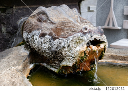湯魂石薬師堂の源泉 132812081