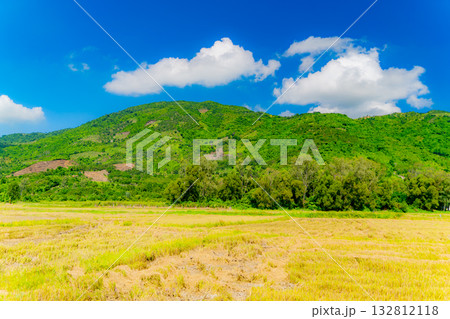 Fields and plantations. 132812118