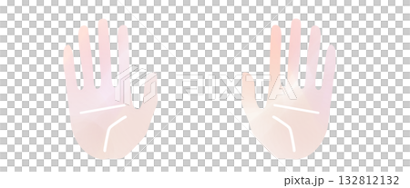 Simple hand icon, palm left and right set 132812132