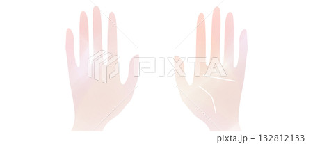 シンプルな手のアイコン、手のひらと手の甲、うらおもてセット 132812133