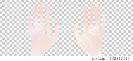 Simple hand icon, palm and back of hand set Simple hand icon, palm and back of hand set 132812133