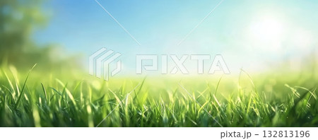 Fresh green grass in sunlit summer meadow under clear blue sky, warm bright atmosphere and shallow depth of field 132813196