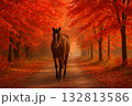 紅葉の道を歩く馬の秋風景 132813586