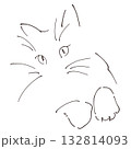 猫のシンプルおしゃれ線画 132814093