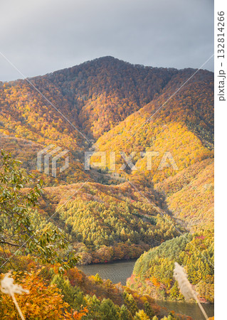 山一面を覆う黄金色の紅葉と光芒の絶景 132814266