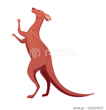 Kangaroo character posing. Adult kangaroo with pouch standing. Vector flat cartoon animal of australian fauna and wildlife, isolated on white background Kangaroo character posing. Adult kangaroo with pouch standing. Vector flat cartoon animal of australian fauna and wildlife, isolated on white background 132814537