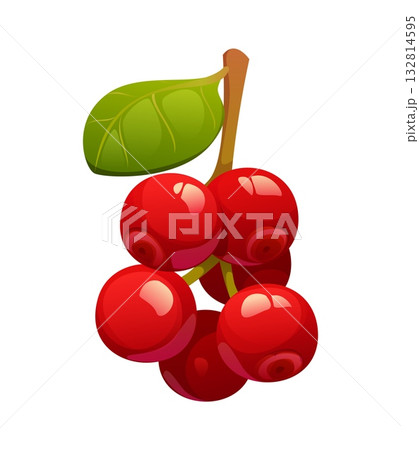 Cartoon ripe cowberry, red glossy berries with smooth surface, grouped in small bunch and attached to stem with green leaf. Isolated vector wild forest bilberry, whortleberry, foxberry or huckleberry 132814595