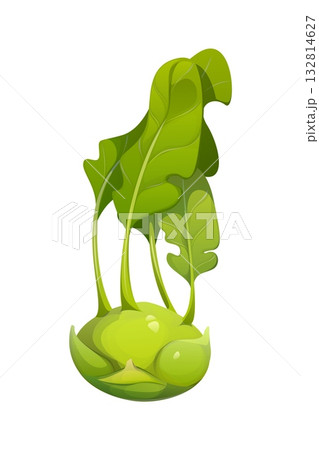 Cartoon raw ripe kohlrabi bulb, isolated fresh vegetable with leafy greens. Gardening, farming, health, organic food, organic nutrition for vegetarian or vegan diet. Vector garden plant, farm produce Cartoon raw ripe kohlrabi bulb, isolated fresh vegetable with leafy greens. Gardening, farming, health, organic food, organic nutrition for vegetarian or vegan diet. Vector garden plant, farm produce 132814627