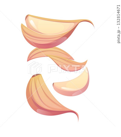 Falling garlic seasoning, ripe raw vegetable cloves representing cooking food process. Isolated vector whole and half peeled segments, plump bulbs floating mid air, ready for culinary preparation 132814671
