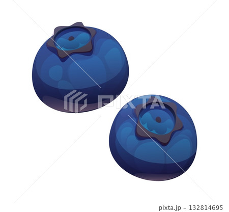 Cartoon two ripe blueberries. Isolated vector plump and round berries for healthy food and dessert cooking. Wild or garden planVt with a smooth, glossy surface and crown like calyx on top 132814695