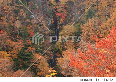 松川渓谷 八滝の紅葉 松川渓谷 八滝の紅葉 132814812