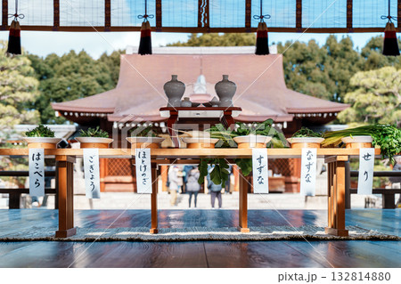 春の七草 春の七草 132814880