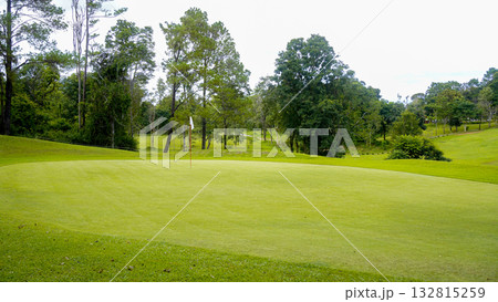 Green grass and woods on a golf field. View of Golf Course with beautiful putting green. 132815259